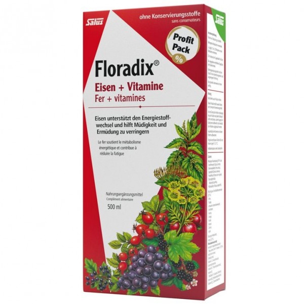FLORADIX Vitamine+organisches Eisen 500 ml