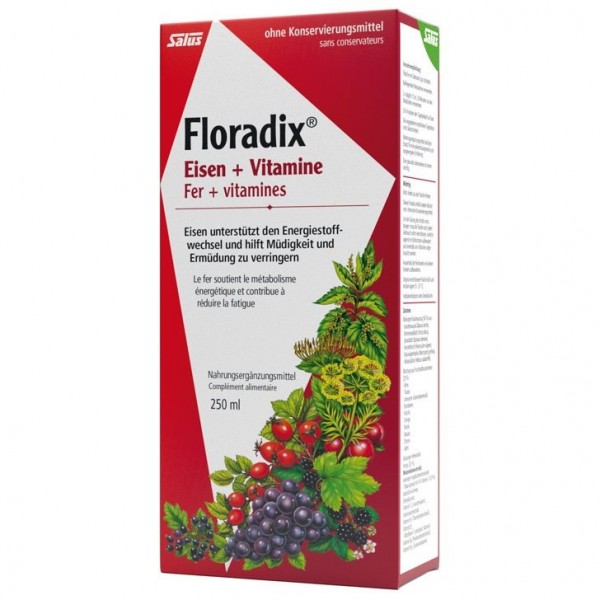 FLORADIX Vitamine+organisches Eisen 250 ml
